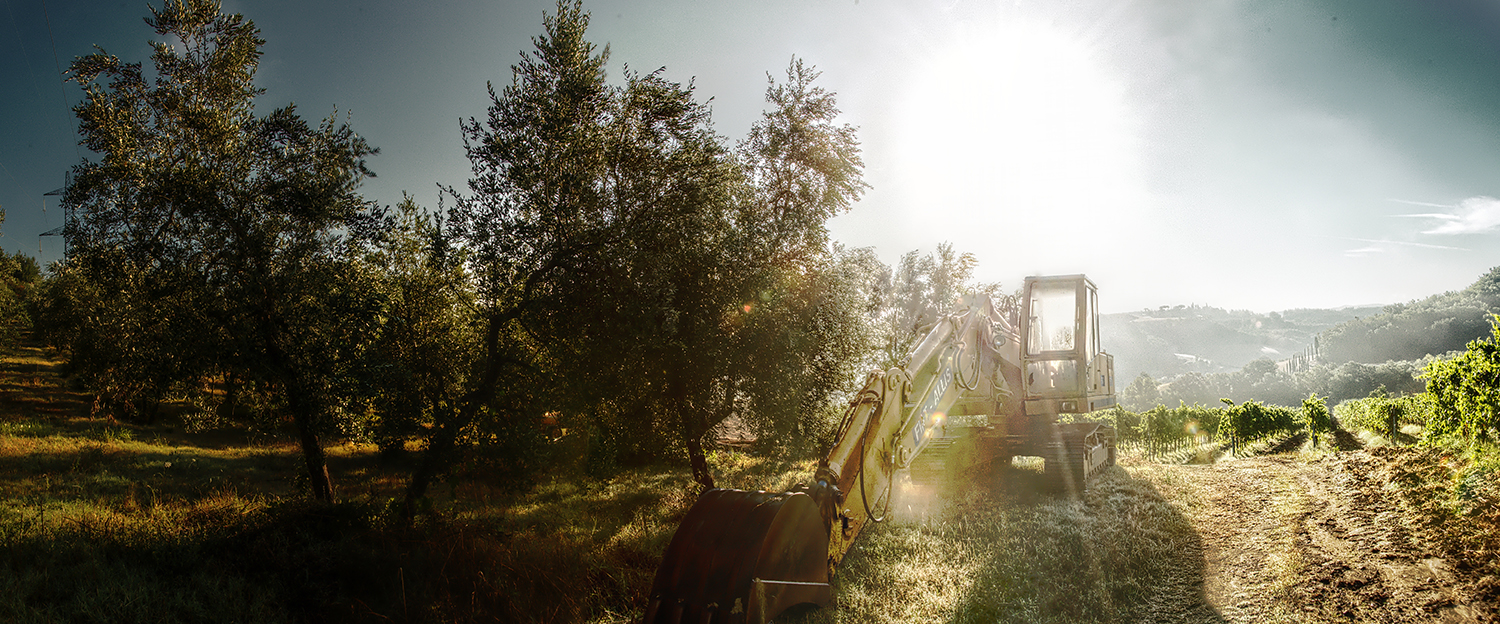 Groundwork Contractor